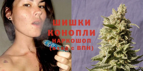 PSILOCYBIN Елабуга