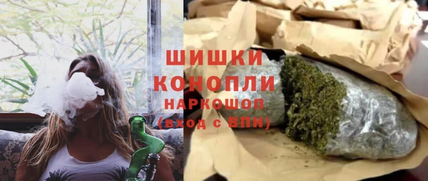 PSILOCYBIN Елабуга