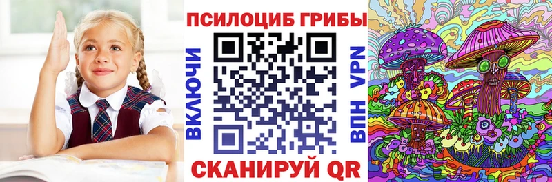 Купить закладки Луза Галлюциногенные грибы Cubensis